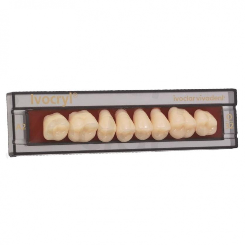 Зубы Ivocryl Набор из 8 зубов A-D жеват.верх. 31 B4
