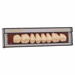 Зубы Ivocryl Набор из 8 зубов Chromascop жеват. низ. 32 130